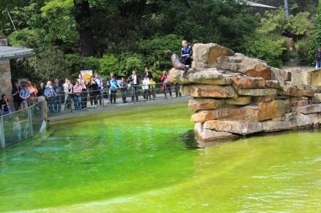 Wycieczka do berlińskiego zoo