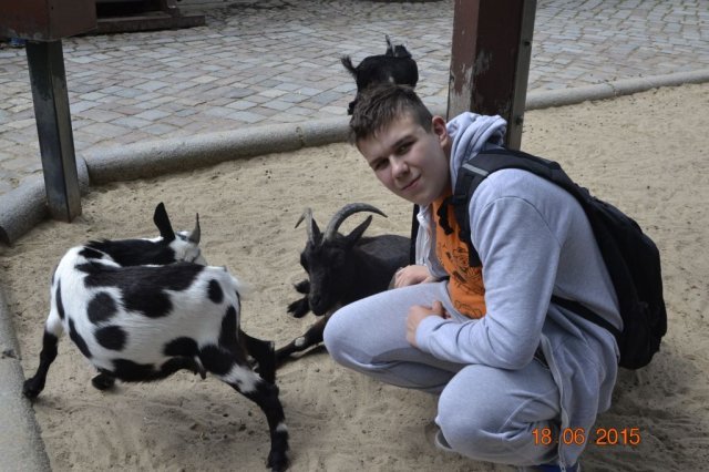 Wycieczka do berlińskiego zoo