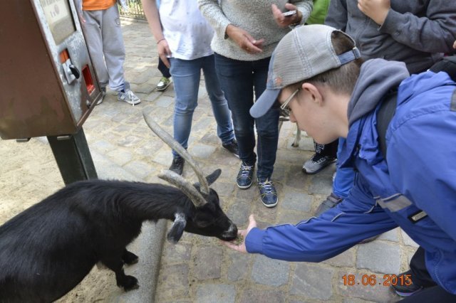 Wycieczka do berlińskiego zoo