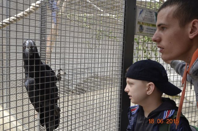 Wycieczka do berlińskiego zoo