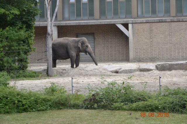 Wycieczka do berlińskiego zoo