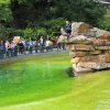 Wycieczka do berlińskiego zoo