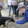 Wycieczka do berlińskiego zoo