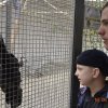 Wycieczka do berlińskiego zoo