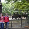 Wycieczka do berlińskiego zoo