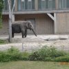Wycieczka do berlińskiego zoo