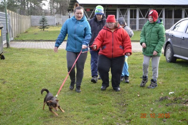 Wizyta w schronisku dla zwierząt w Sosnowicach