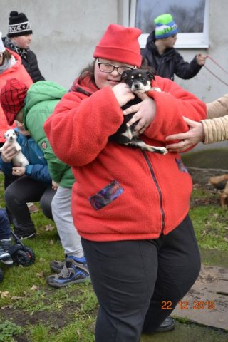 Wizyta w schronisku dla zwierząt w Sosnowicach