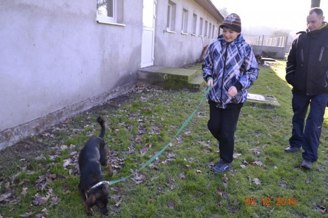 Odwiedziny w Schronisku