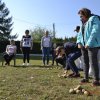 Dzień Pieczonego Ziemniaka