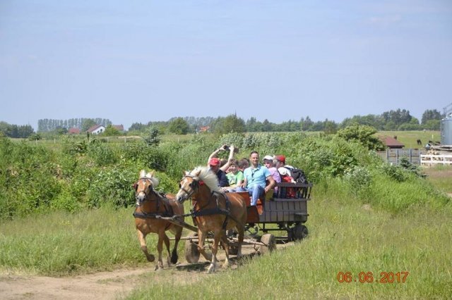 Wycieczka