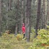 Grzybobranie i Sprzątanie Świata