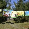 Wiosna