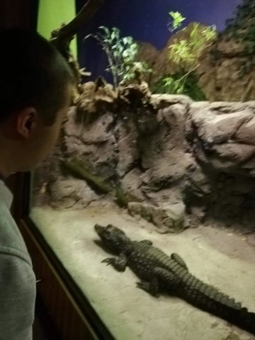 Wycieczka Trójmiasto