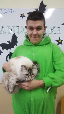Andrzejki