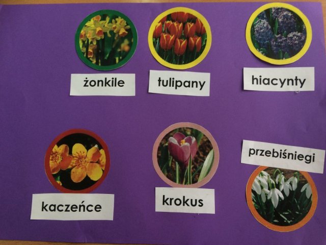 I Dzień Wiosny Światowy Dzień Zespołu Downa