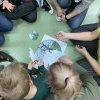 I Dzień Wiosny Światowy Dzień Zespołu Downa