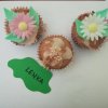 Światowy Dzień Muffinka