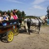 Turnus rehabilitacyjny w Stawnicy
