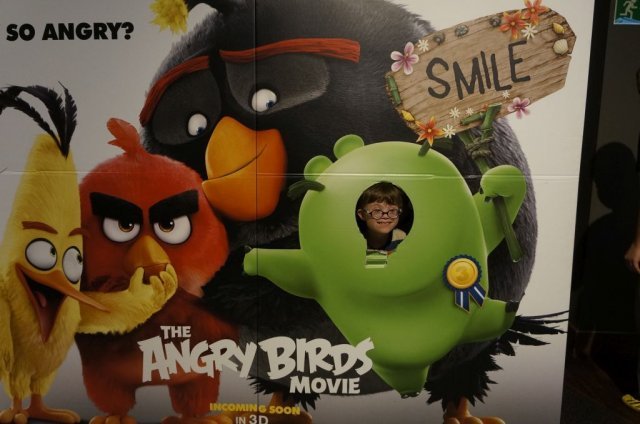 ,,ANGRY BIRDS”
