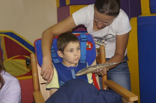 ,,ZIELONA NOC Z RYBAMI”