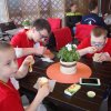 XVIII OLIMPIJSKA  SPORTOWA MAJÓWKA DZIWNÓW 2017