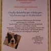 Schronisko