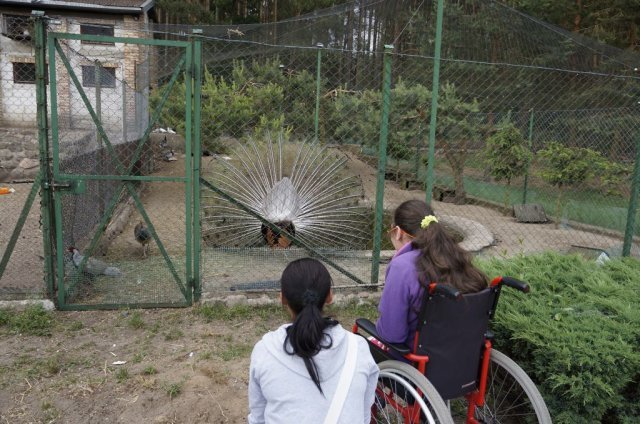 stawnica013
