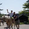 stawnica028