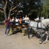 stawnica032