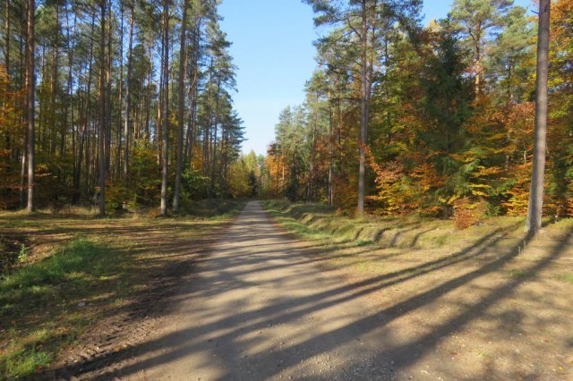 Wycieczka rowerowa