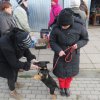 Z wizytą w Przytulisku w Budnie