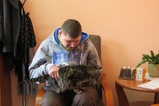 Felinoterapia