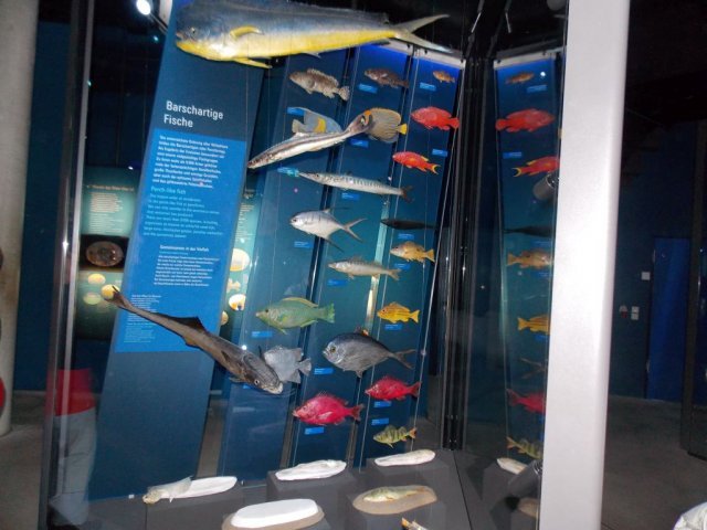 Wycieczka do Oceanarium