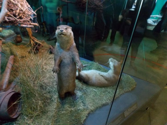 Wycieczka do Oceanarium