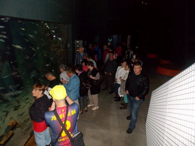 Wycieczka do Oceanarium