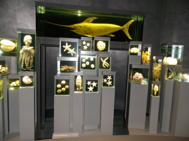 Wycieczka do Oceanarium