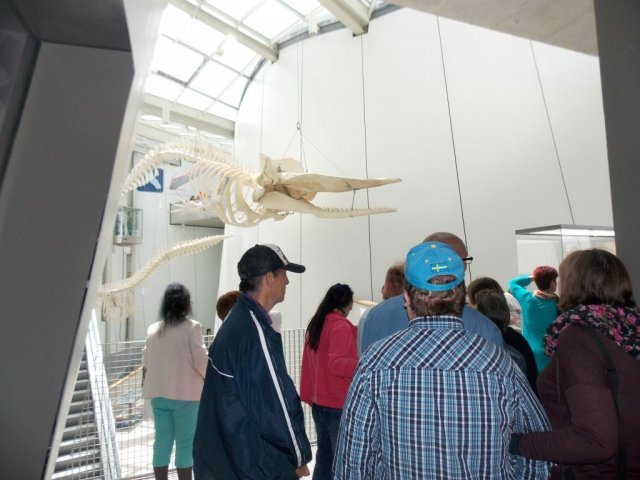 Wycieczka do Oceanarium