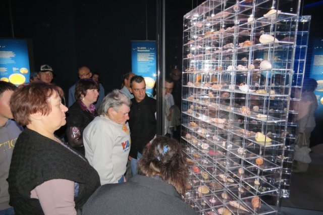 Wycieczka do Oceanarium