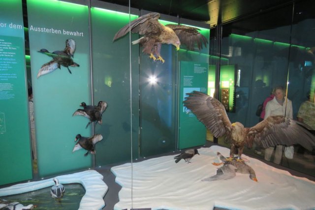 Wycieczka do Oceanarium