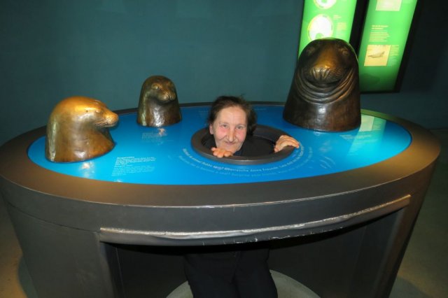 Wycieczka do Oceanarium