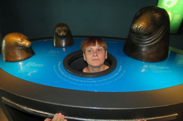 Wycieczka do Oceanarium