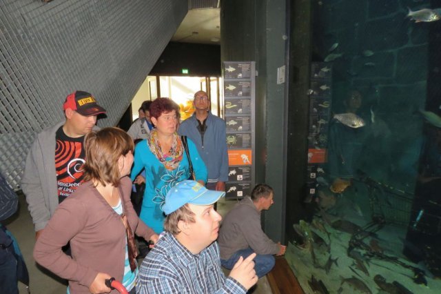 Wycieczka do Oceanarium