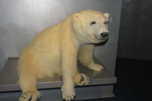 Wycieczka do Oceanarium