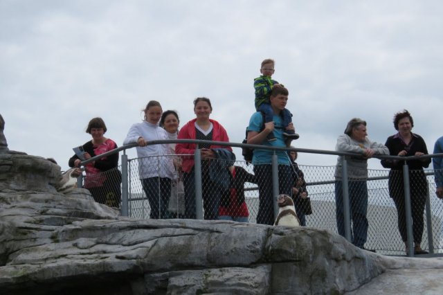 Wycieczka do Oceanarium