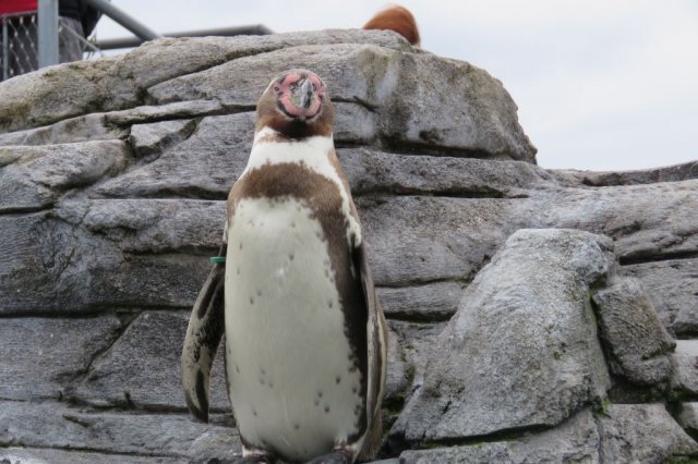 Wycieczka do Oceanarium
