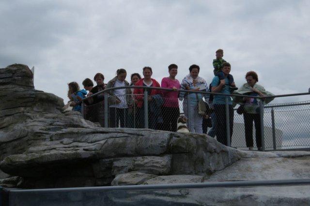 Wycieczka do Oceanarium