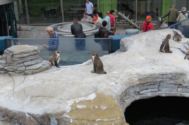 Wycieczka do Oceanarium