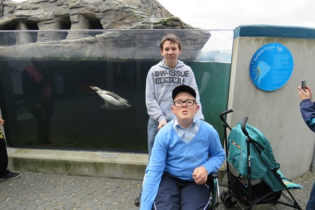 Wycieczka do Oceanarium