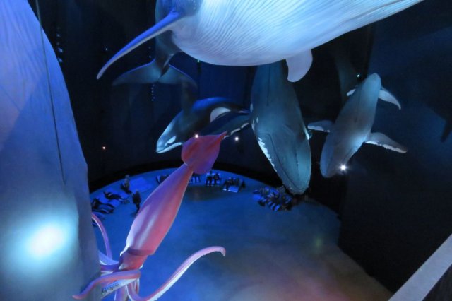 Wycieczka do Oceanarium